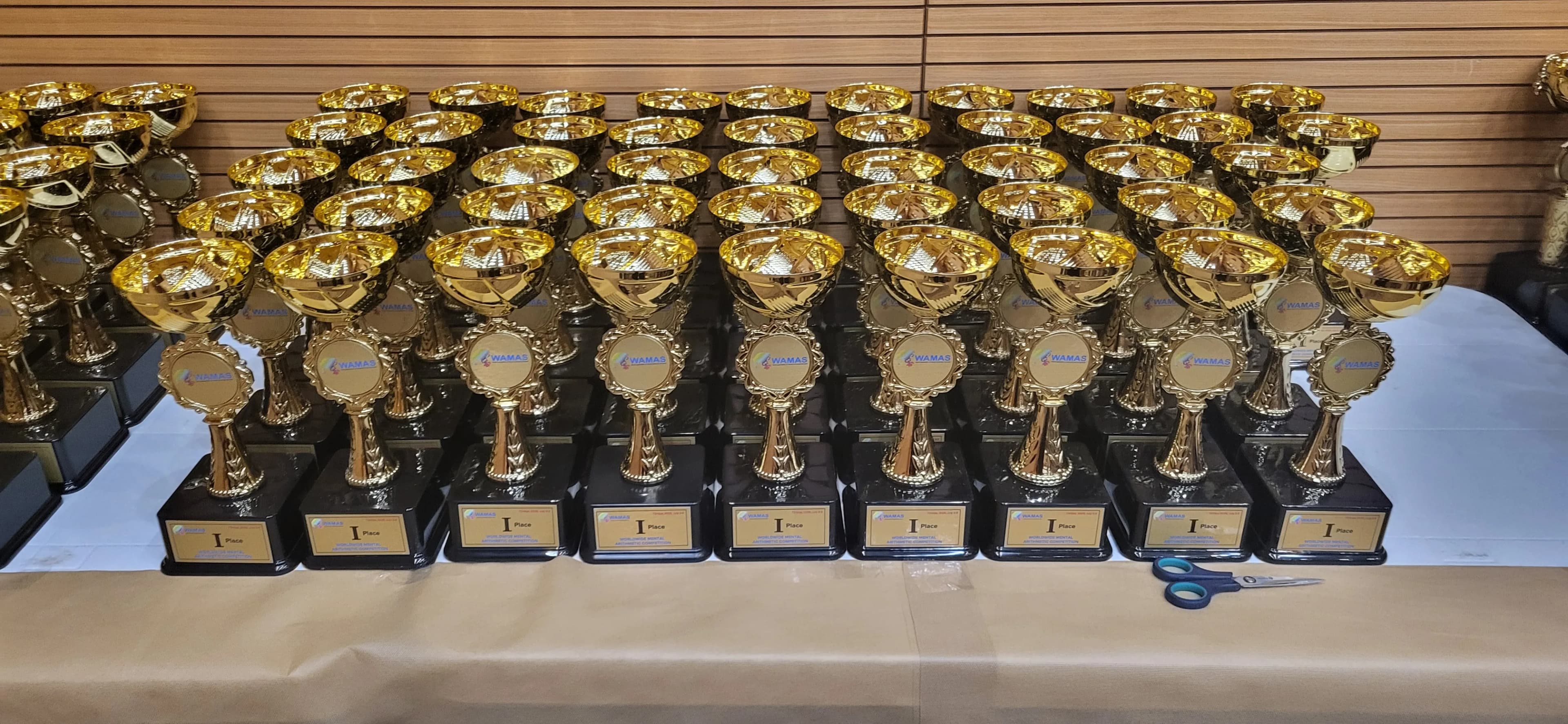 Premii și trofee la WAMAS 2025, Antalya