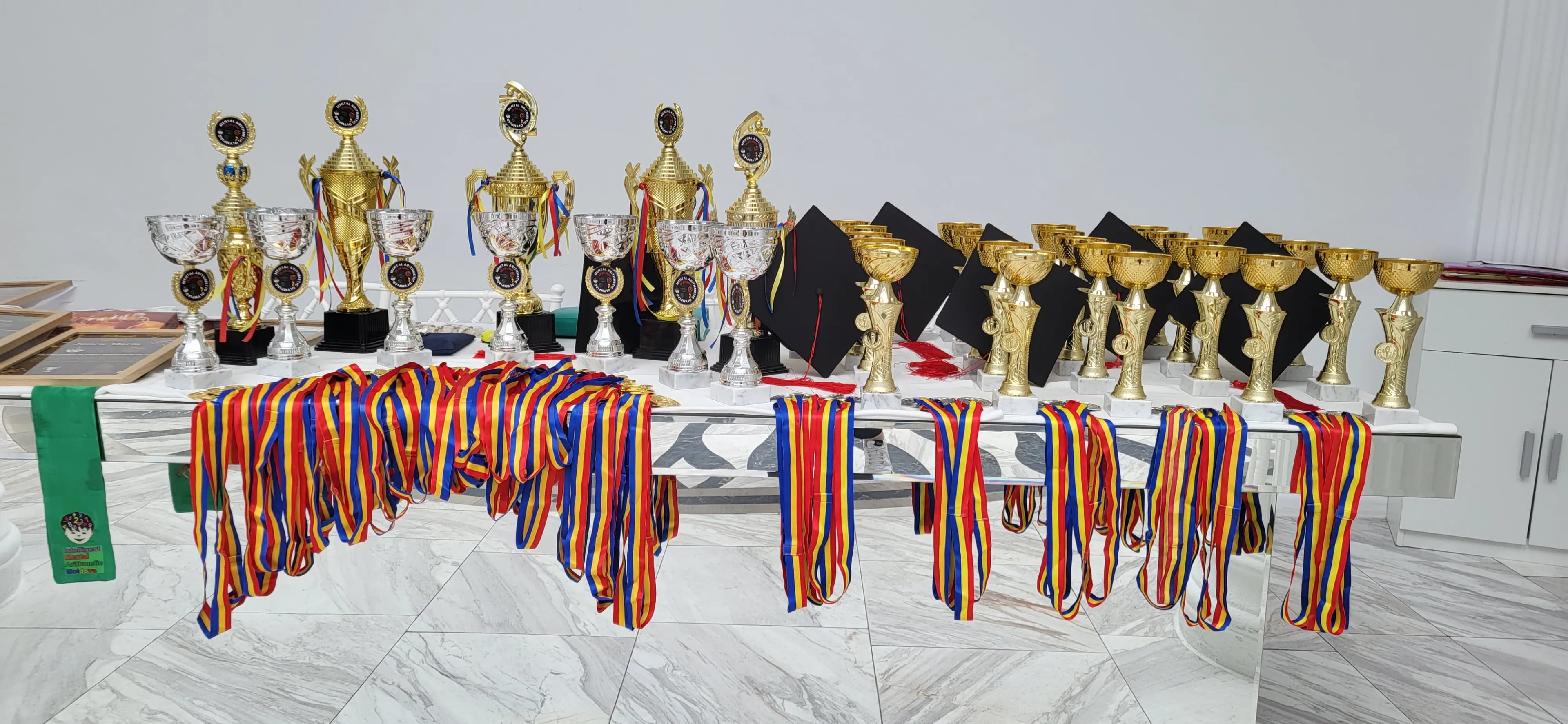 Trofee și medalii câștigate